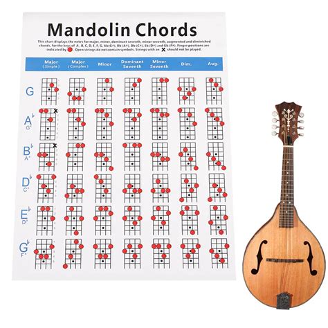 key   mandolin  unveiling  mysterious sound   mandolin