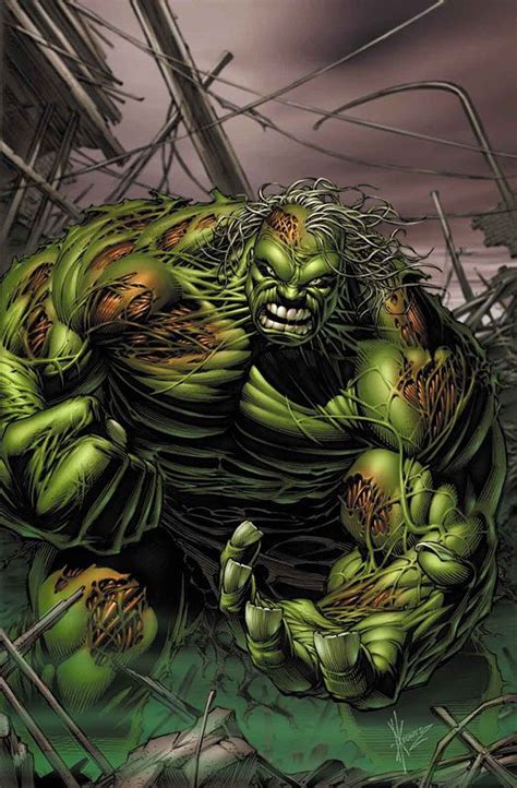 Incredible Hulk The End By Dale Keown Hulk Comic Hulk