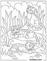 Tigers Cubs Tree sketch template