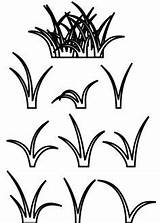 Colorear Grasses Pasto Cliparting Dibujos Wikiclipart sketch template