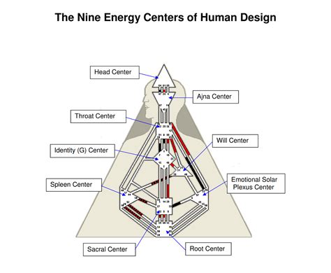 human design chart explained ropotqskin