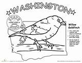Washington State Bird Worksheets Science Coloring Life Education Worksheet Choose Board Sheets Pages sketch template