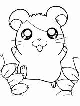Coloring Pages Moon Hamster Hamsters Cute Uncategorized Goodnight Library Small Animals sketch template