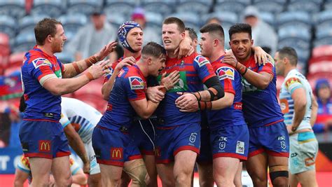 nrl shattered knights vow    finals   newcastle herald newcastle nsw