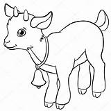 Goat Granja Cabrito Chivo Sp Boerderijdieren Cabritos Royaltyfree Chivos St2 Geit Ilustración Dieren Dxf sketch template