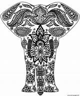 Zentangle Coloring Pages Elephant Easy Adults Printable Print Color Getcolorings Puzzle Categories Paper Totally sketch template