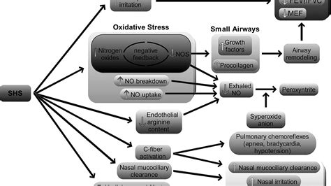 Effects Of Passive Smoking Effect Choices