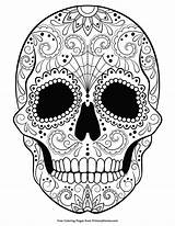 Coloring Sugar Pages Skull Halloween Skulls Adult Printable Colouring Book Adults Mandala Books Word Ebook Dead Tattoo Primarygames Witch Zentangles sketch template