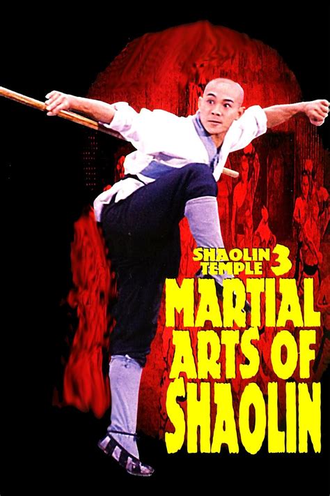 shaolin temple  martial arts  shaolin china underground