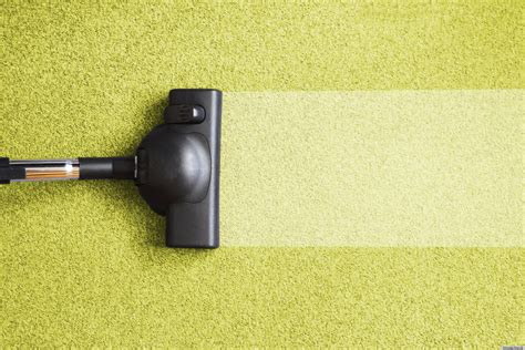 clean  carpets    germ hotspots huffpost