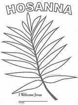 Palm Sunday Coloring Branch School Leaf Kids Pages Template Crafts Drawing Easter Craft Preschool Lesson Activities Children Color Print Quality sketch template
