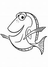 Nemo Dory Colorear Aquarium Findet Procurando Malvorlagen Polochon Colouring Fische Ausmalen Parentune Minions Cuadernos Páginas Sobres Animalitos sketch template