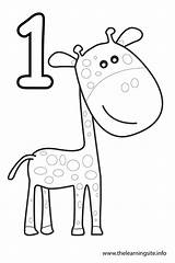 Number Giraffe Coloring Flashcard Outline Click Flashcards sketch template