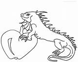 Iguana Coloring Pages Printable Cool2bkids Kids Results sketch template