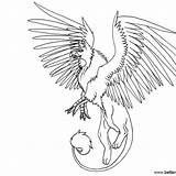 Griffin sketch template