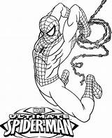 Ultimate Coloring Spider Man Pages Spiderman Template Topcoloringpages Color Amazing sketch template