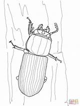 Beetle Bess Coloring Pages Drawing sketch template