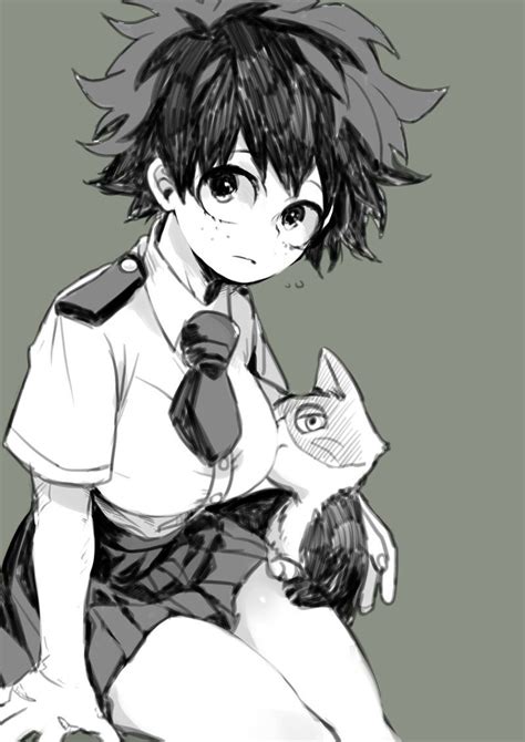 [genderbend] Midoriya Izuku And [cat] Todoroki Shouto Hero