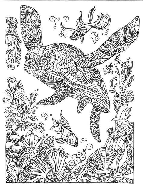 turtle mandala coloring page youngandtaecom mandala coloring pages
