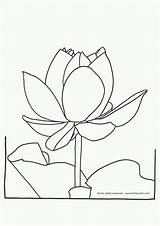 Lotus Coloring Flower Pages Kids Printable Flowers Color Drawing Popular Getdrawings Coloringhome Library Clipart Comments sketch template
