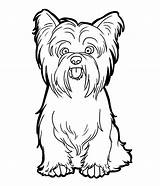 Terrier Coloring Pages Highland West Getcolorings Cairn Minute Last sketch template