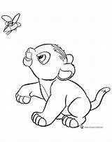 Simba Nala Lion Disneyclips Sarabi Nimbus Coll sketch template