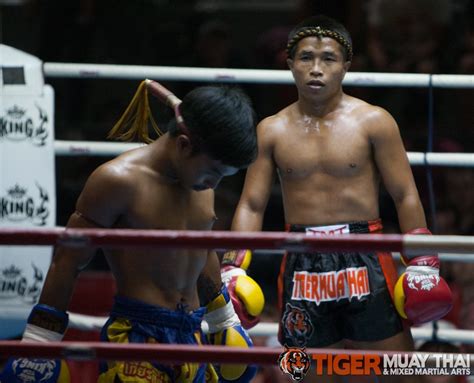 fighting thai tiger muay thai and mma training camp guest