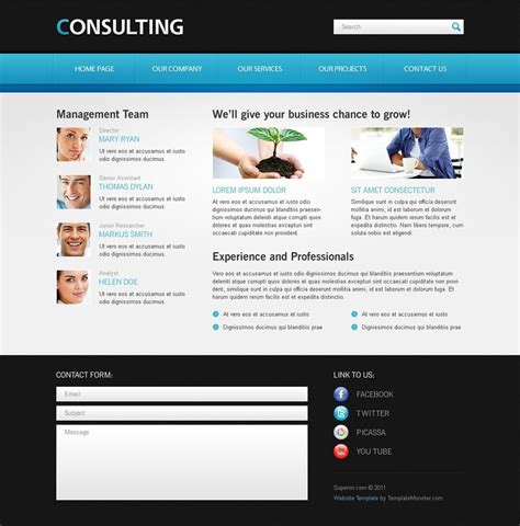 website template  consulting business