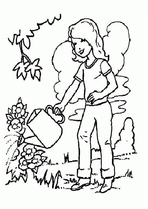 plants  trees  coloring pages coloring home