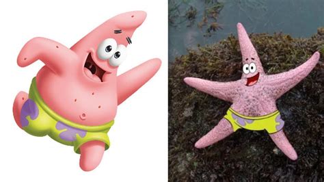 spongebob squarepants characters in real life big