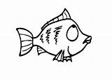 Pez Dibujo Vis Kleurplaat Fisch Malvorlage Pesce Ausdrucken Kleurplaten Stampare Grandes Schulbilder Educima Educolor sketch template