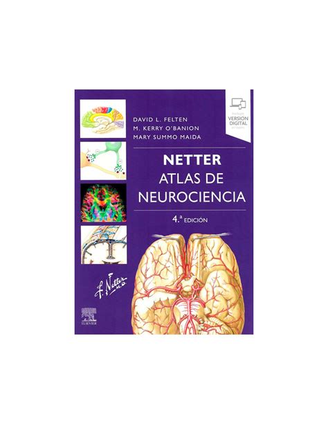 netter atlas de neurociencia  ed