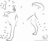 Labrador Dot Looking Dots Connect Worksheet Kids sketch template