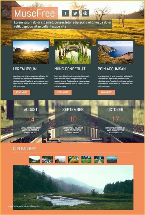 video gallery website template free download of 1000 images about adobe
