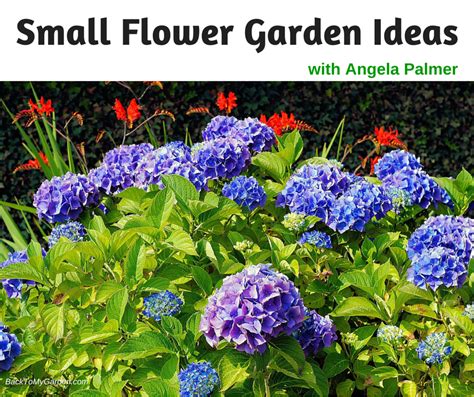 small flower garden ideas  angela palmer    garden