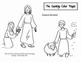 Ordinary Sunday Time 20th Color Pages Catholic D Adriana Saucedo Written Published August Under Place Kids sketch template