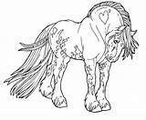 Horse Coloring Pages Shire Draft Pony Printable Color Print Beautiful Template Getcolorings Getdrawings sketch template
