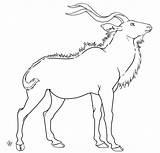 Kudu Lineart sketch template
