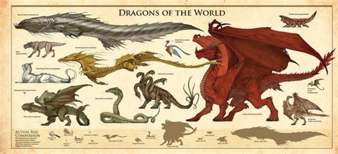 dragons   world types  dragons mythical creatures art