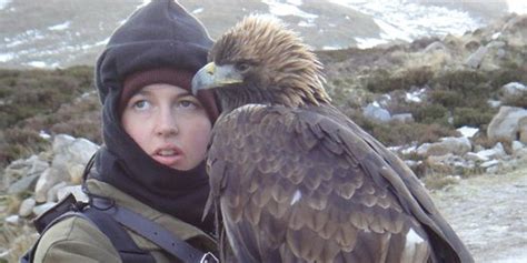 elite falconry country sport scotland