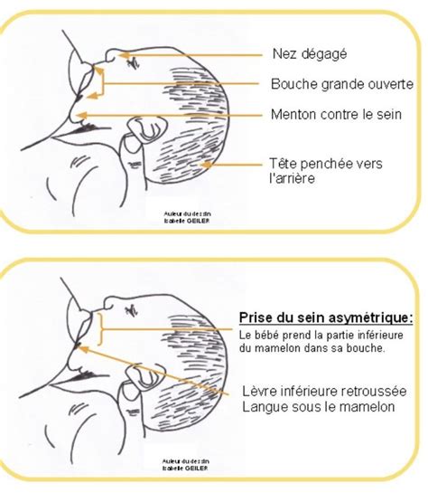Two Diagrams Showing How To Use The Nose