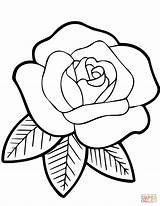 Rosa Jordi Vidriera Pintar Supercoloring Blumen Tige Rosen Vitral Coloringareas sketch template