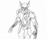 Wolverine Superheroes Everfreecoloring Printablefreecoloring sketch template