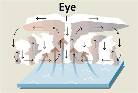 typhoons formed  step  step guide  globe  mail