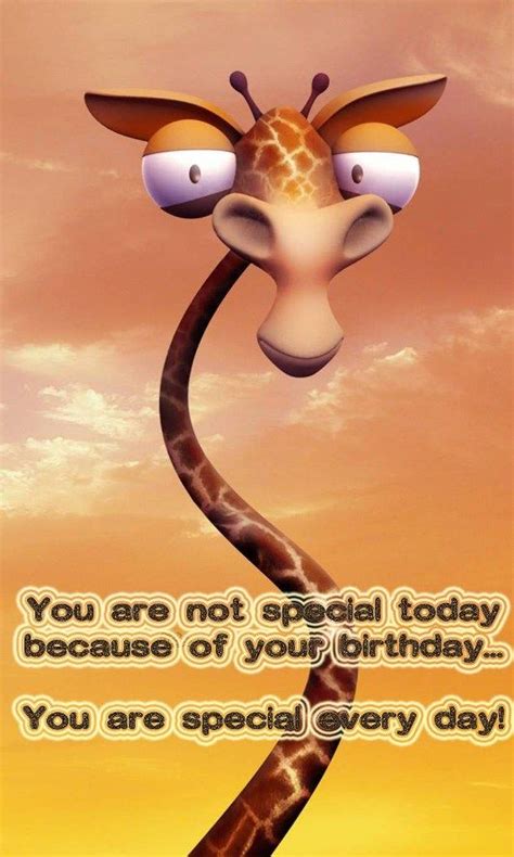 funny birthday image  greeting words  birthday