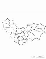 Holly Coloring Pages Leaf Berry Getcolorings Colouring Leaves sketch template
