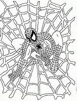 Spiderman Coloring Pages Kids Printable Color Sheets Amazing Man Spider Colouring Clipart Clip Library Spyderman Popular Wall Choose Board Book sketch template
