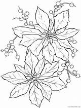 Poinsettia Coloring4free 2021 Coloring Nature Flowers Pages Flower Printable Related sketch template