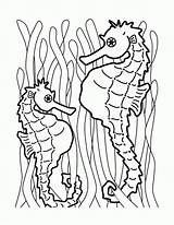 Seahorse Konik Morski Printable Seepferdchen Ausmalbilder Kolorowanki Colorare Clipart Pesci Marini Cavallucci Dzieci Dla Malvorlagen Wydruku sketch template