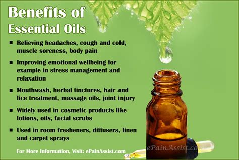 guide  basics  essential oils preparation precautions
